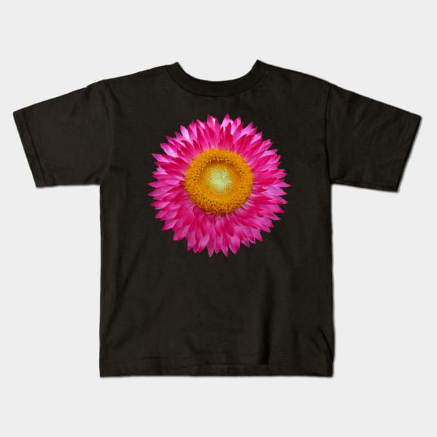 wonderful pink flower, blossom, nature, aster Kids T-Shirt by rh_naturestyles